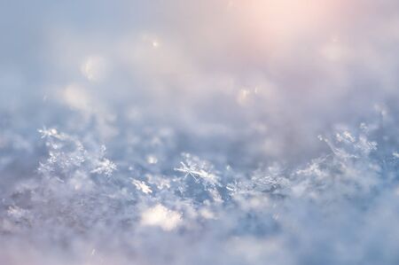 Macro image of snowflakes. Winter background. Small depth of sharpnessの写真素材