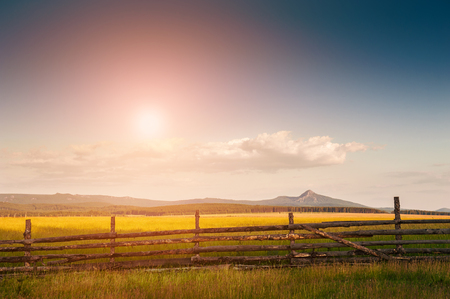 Rural nature at sunset. Beautiful summer landscape with field and forestの写真素材