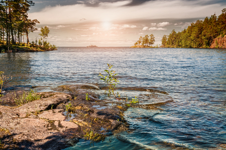 Shore of the lake at sunset. Beautiful summer landscapeの写真素材