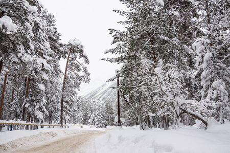 Snowfall on the mountain road. Beautiful winter landscapeの写真素材