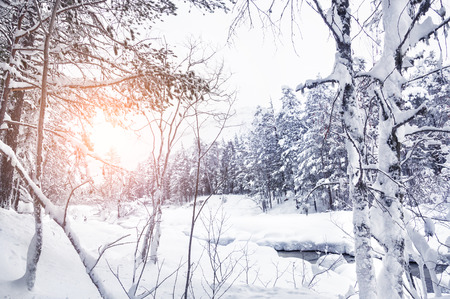Forest and mountain river at sunset. Beautiful winter landscape.の写真素材