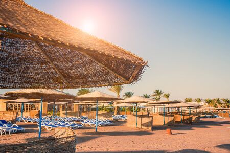 Beautiful tropical beach on the Red Sea. Summer landscape. Creative toning effectの写真素材