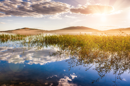 Sunset on the beautiful lake, reeds and reflections on the shore. Beautiful summer landscape.の写真素材