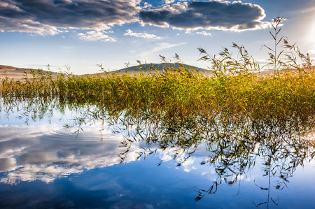 Sunset on a beautiful lake. Reeds and reflections on the shore. Beautiful summer landscape.の写真素材