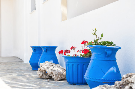 Flowers on the terrace, national greek white-blue decor. Santorini island, Greeceの写真素材