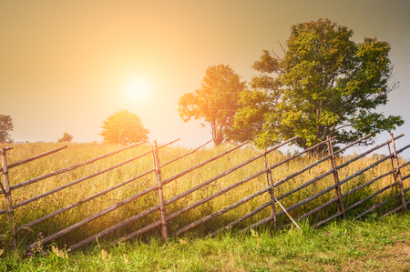 Rural nature at sunset. Beautiful summer landscape with field and forest. Creative vintage filter, retro effectの写真素材