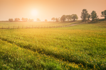 Rural nature at sunset. Beautiful summer landscape with field. Creative vintage filter, retro effectの写真素材