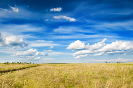 Field and blue sky with clouds. Beautiful summer landscapeの写真素材