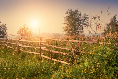 Rural nature at sunset. Beautiful summer landscape with field and forest. Creative vintage filter, retro effectの写真素材