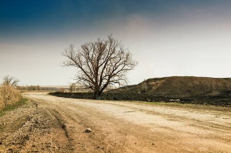Lonely tree on the road. Desert landscape. Vintage effectの写真素材