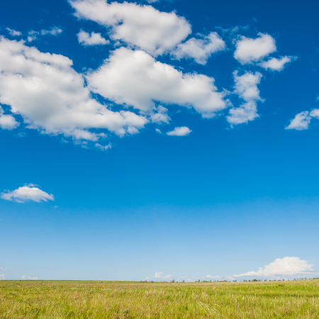 Green field and blue sky. Beautiful summer landscapeの写真素材