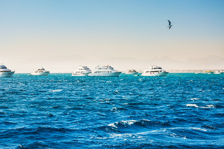 White yachts in the sea. Beautiful summer seascapeの写真素材