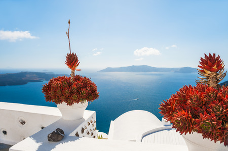 Terrace with flowers overlooking the sea. Santorini island, Greece. Beautiful landscape with sea view.の写真素材