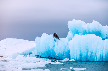 Blue icebergs in Jokulsarlon glacial lagoon. Vatnajokull glacier, southern Iceland