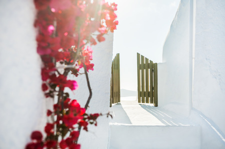White architecture on Santorini island, Greece.の写真素材
