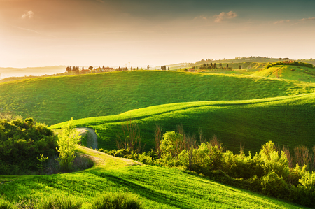 Green hills of Tuscany, Italy. Beautiful summer landscape at sunsetの写真素材