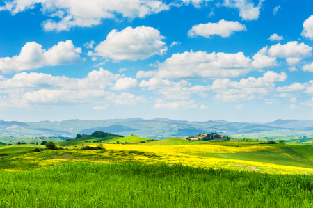 Beautiful summer landscape. Green hills in Tuscany, Italy.の写真素材