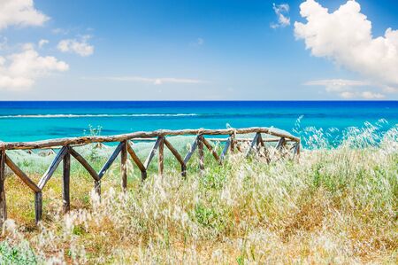 Beautiful sea coast with wild grasses and fence. Crete island, Greeceの写真素材