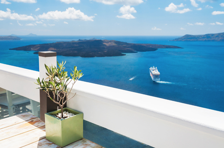 Olive tree on the terrace. Beautiful landscape, sea view. Santorini island, Greece.の写真素材