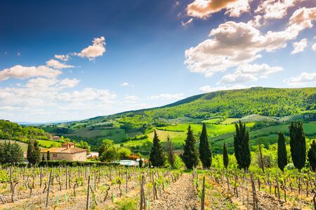 Beautiful Tuscany landscape, Province of Certaldo, Italyの写真素材