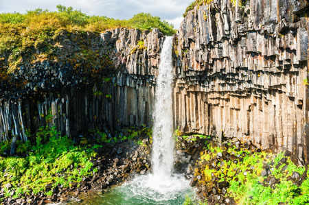 Svartifoss waterfall with basalt columns. Skaftafell national park, South Icelandの写真素材