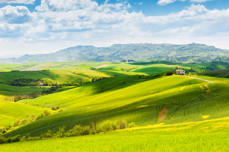 Green fields and blue sky. Beautiful Tuscany landscape, province of Certaldo, Italyの写真素材