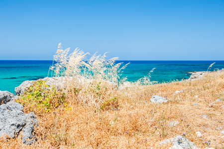 Beautiful sea coast with wild grasses. Crete island, Greece. Selective focusの写真素材