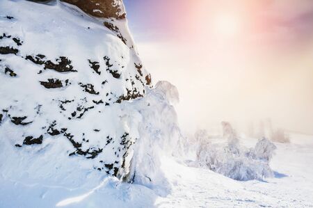 Snow covered trees and mountains at sunset. Beautiful winter landscape.の写真素材