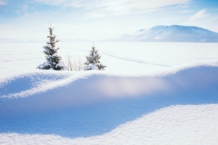 Snow-covered lake after snowfall. Beautiful winter landscape.の写真素材