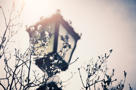 Lantern and snow-covered trees in sunlight. Winter landscape. Vintage filter