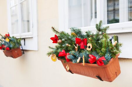 Christmas decoration with pines branches on the window.の写真素材