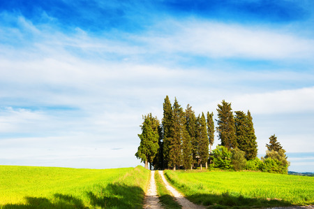 Beautiful Tuscany landscape, Italyの写真素材
