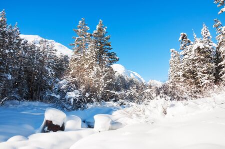 Mountain river and forest after snowfall. Beautiful winter landscapeの写真素材