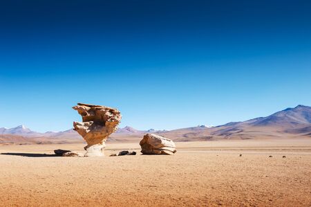Stone tree on the plateau Altiplano, Boliviaの写真素材