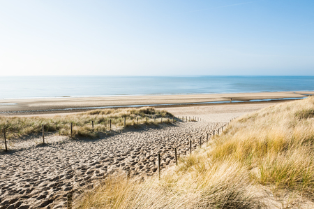 Sandy dunes on the sea coast in Noordwijk, Netherlands, Europe.の写真素材