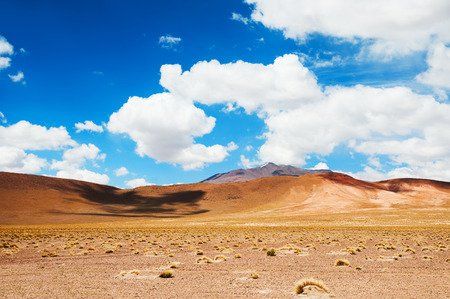 High-altitude desert landscape on plateau Altiplano, Boliviaの写真素材