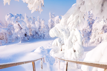 Snow-covered stairs and trees after snowfall. Beautiful winter landscape.の写真素材