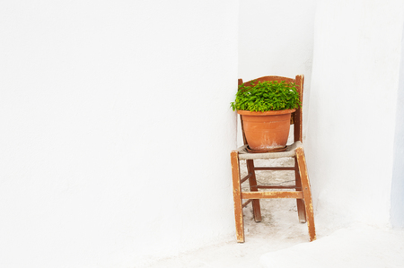 White wall and chair with flower. White architecture on Santorini island, Greece. の写真素材