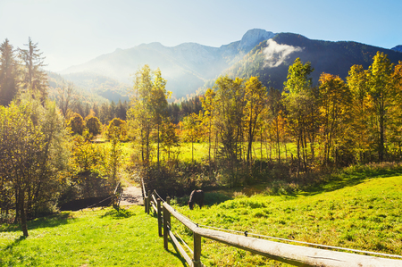 Green fields and Alps mountains in Austria. Autumn landscapeの写真素材