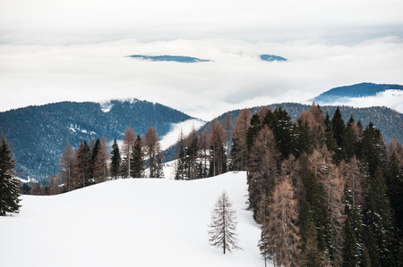 Winter mountains in a foggy day. Dolomites, Italyの写真素材