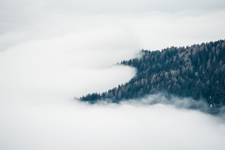 Fog in the forest. Dolomites, Italyの写真素材