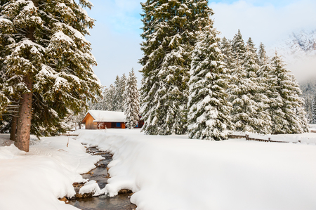 Wooden house in winter forest after snowfall. Dolomite Alps, Val di Fassa, Italyの写真素材