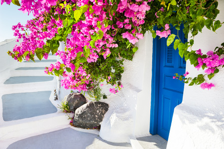 White architecture, blue door and pink flowers. Santorini island, Greece.の写真素材