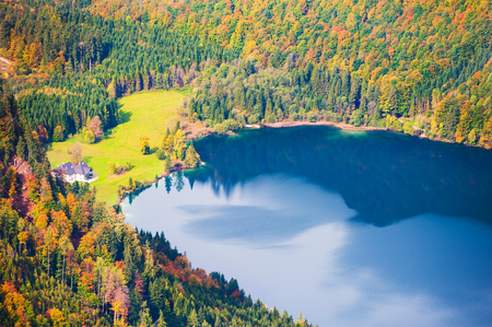 Shape of heart on the surface of the lake. Autumn landscape in Austrian Alps.の写真素材