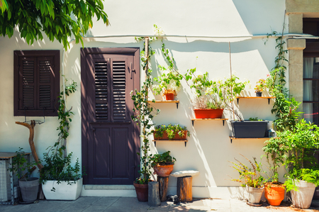 Flowers in the courtyard of the house. Traditional Cypriot architecture in Limassol, Cyprus. の写真素材