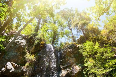 Waterfall in the forest, Troodos national park, Cyprus. Summer landscapeの写真素材