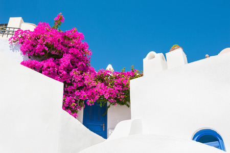 White architecture and pink flowers against the blue sky. Santorini island, Greece.の写真素材