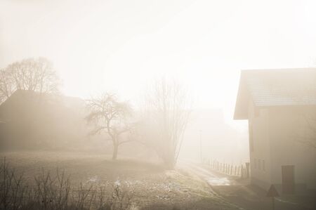 Foggy morning in the countryside. Rhone-Alpes, Franceの写真素材