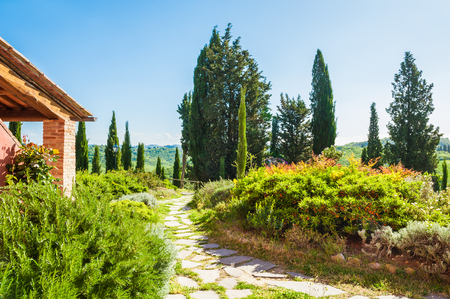 Beautiful patio of a country house with plants and flowers. Tuscany, Italyの写真素材