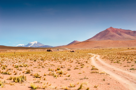 Road in the desert on plateau Altiplano, Boliviaの写真素材